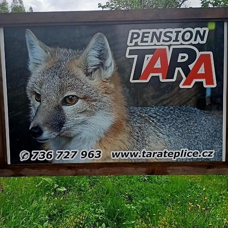 Pension Tara Teplice nad Metují エクステリア 写真