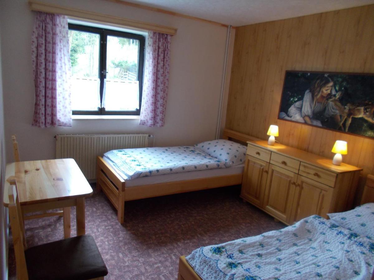Pension Tara Teplice nad Metují エクステリア 写真