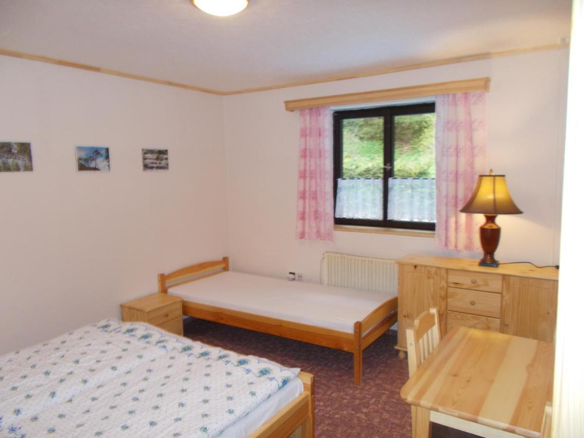 Pension Tara Teplice nad Metují エクステリア 写真