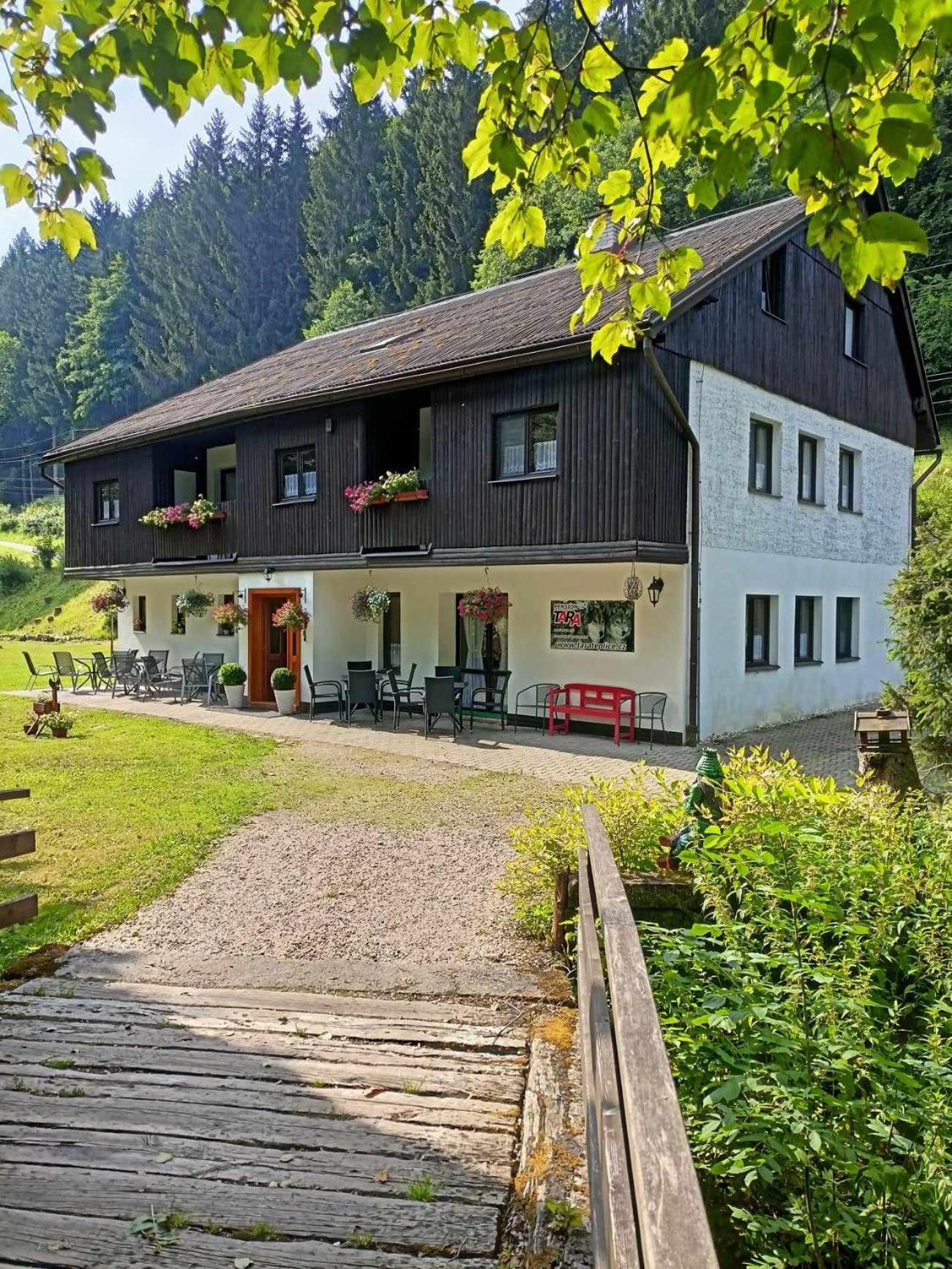 Pension Tara Teplice nad Metují エクステリア 写真