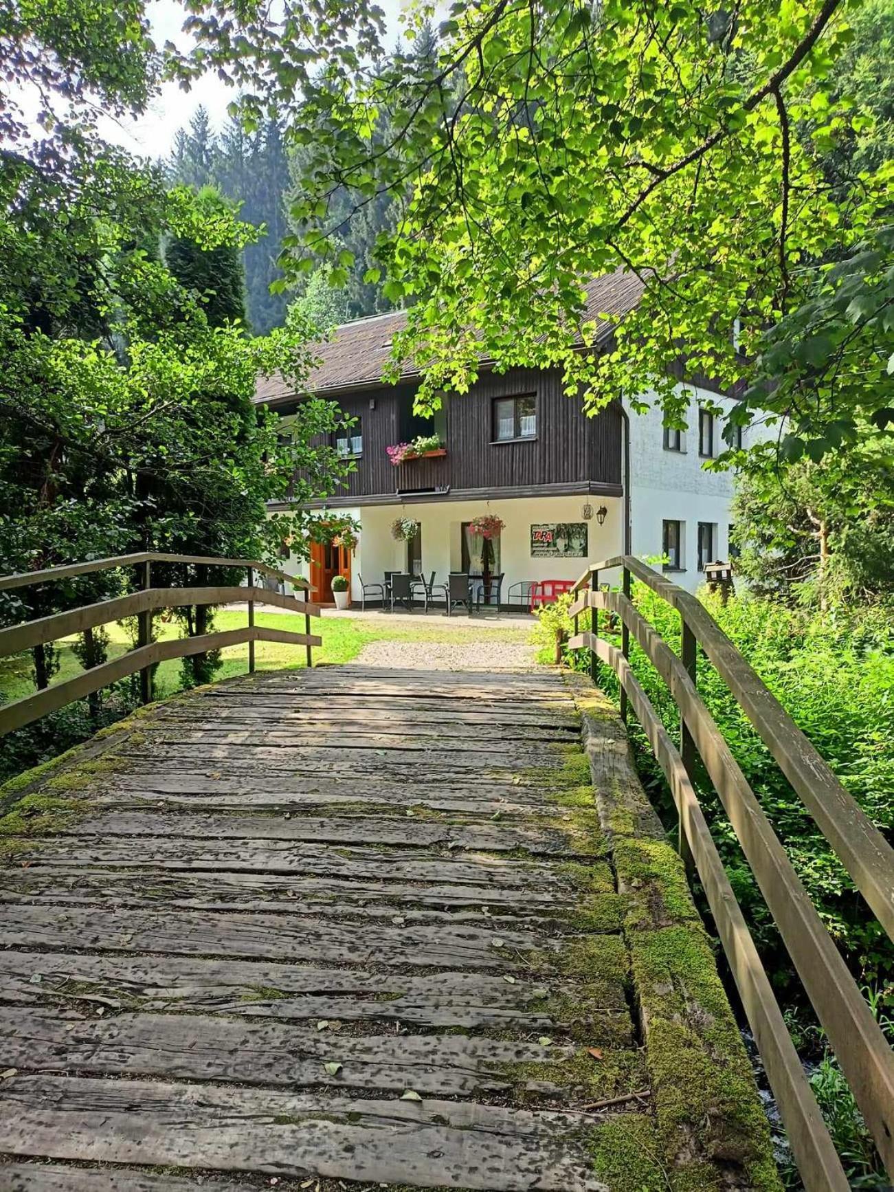 Pension Tara Teplice nad Metují エクステリア 写真